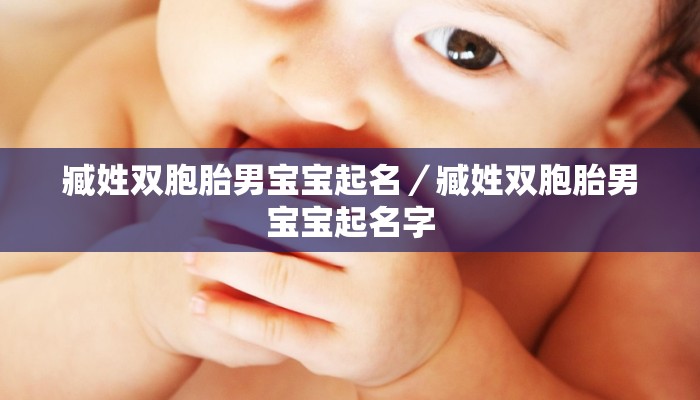 臧姓双胞胎男宝宝起名／臧姓双胞胎男宝宝起名字